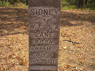 lane1.jpg (37716 bytes)