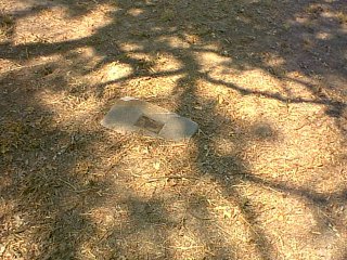 unknown1.jpg (34625 bytes)