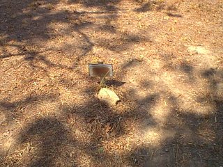 unknown2.jpg (33327 bytes)