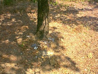 unknown3.jpg (36339 bytes)