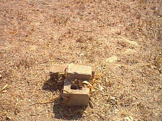 unknown5.jpg (40962 bytes)