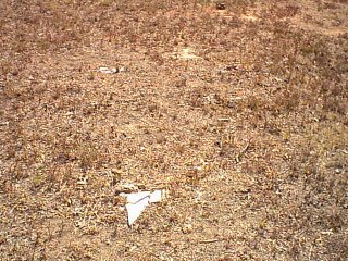 unknown6.jpg (40584 bytes)