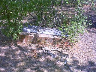 waytt3.jpg (39367 bytes)