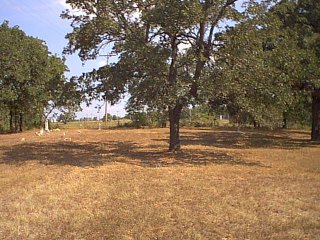 wchapel8.jpg (32360 bytes)