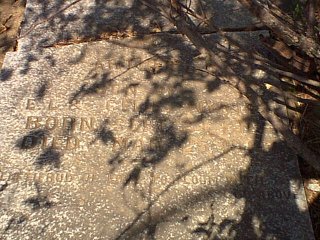 wyatt1.jpg (32707 bytes)