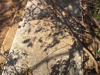 wyatt2.jpg (36816 bytes)