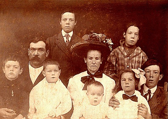 Jcgull.jpg (91543 bytes)