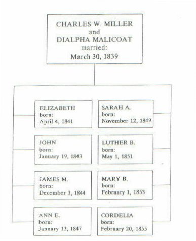 miller3.jpg (25713 bytes)