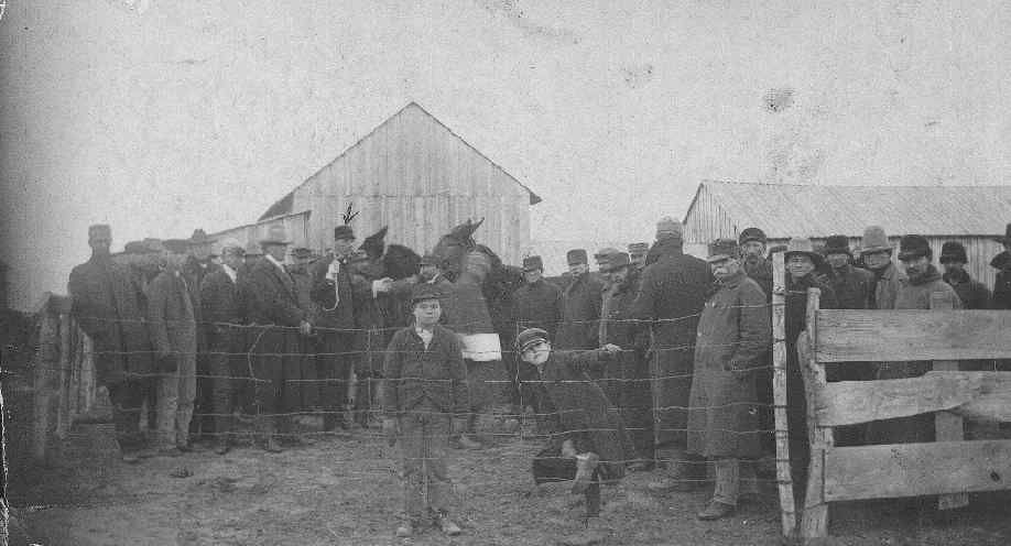 Photo of Ellis Harry Hughes - Fargo,
Beaver Co., OK