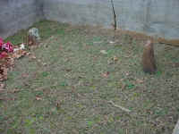 edwards-children.jpg (70471 bytes)