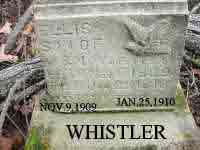 whistler-ellis.jpg (86060 bytes)