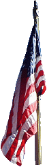 U.S.A. Flag