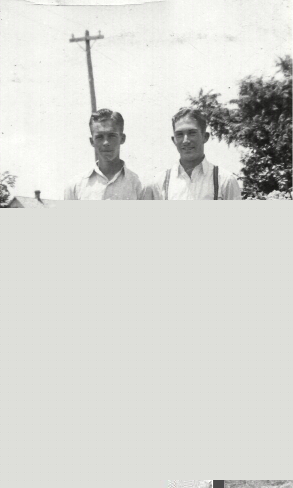 woodgrad.jpg (137273 bytes)