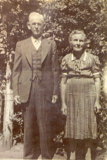 lemmonstodd.gif (194387 bytes)