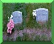 Maudie Savage & Francis Savage gravestones