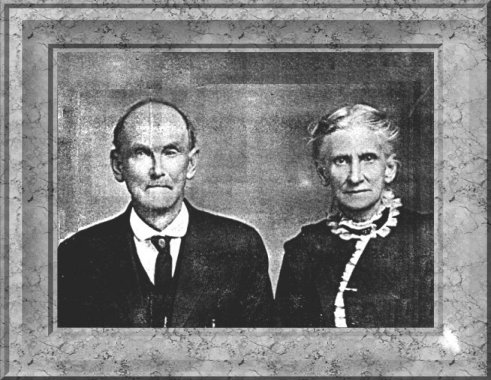 francismarionbrowns.jpg (52653 bytes)