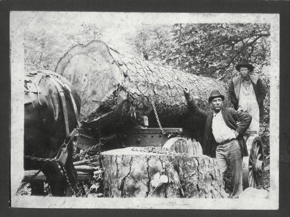 William Anderson Condley