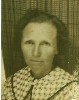 cora alice gibbons aronhalt