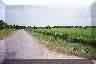 Clarita Area