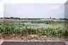 Clarita Area
