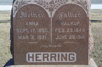 Herring