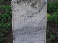 Higgenbottom