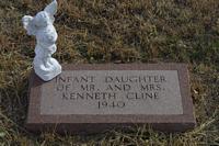 Cline