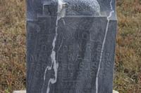 Walker