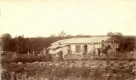 Vincent Homestead