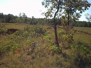 Oklahoma genealogy