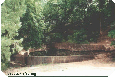 jaybuckle spring