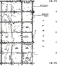 cot-1s-9w.gif (15133 bytes)