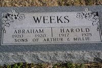 Abraham Weeks - Harold Weeks
