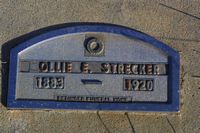 Ollie Strecker