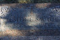 Sauter