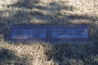 Steele