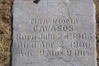 Cavasos
