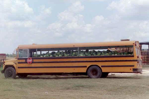 Bus full of watermelons