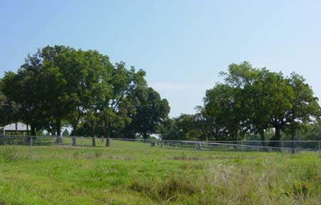 starnes cemetery